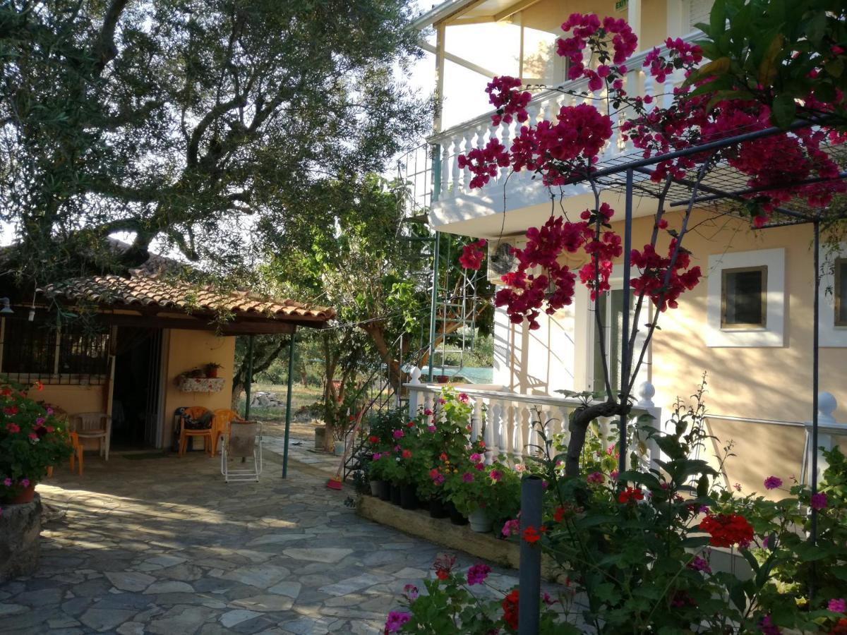 Casa Dyonisia Tsilivi Plános Exterior foto