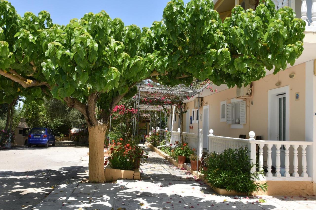 Casa Dyonisia Tsilivi Plános Exterior foto